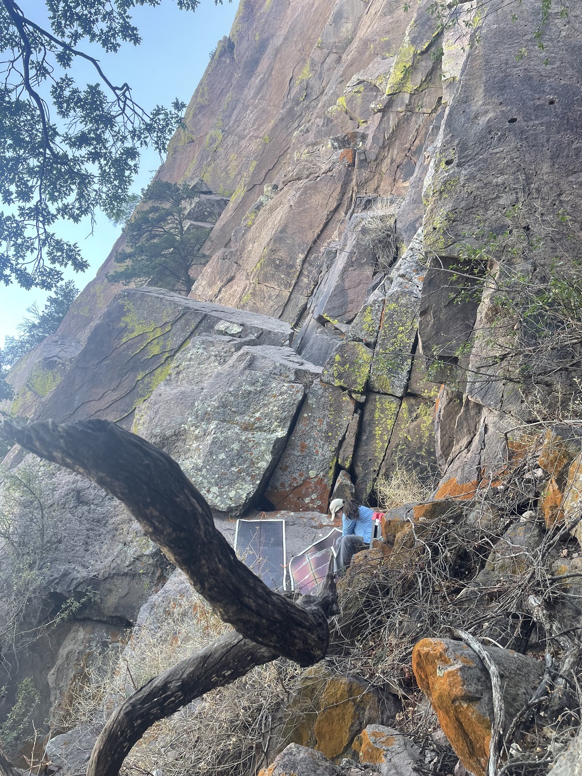 entrance to cave in Big Bend National Park FWS.gov
